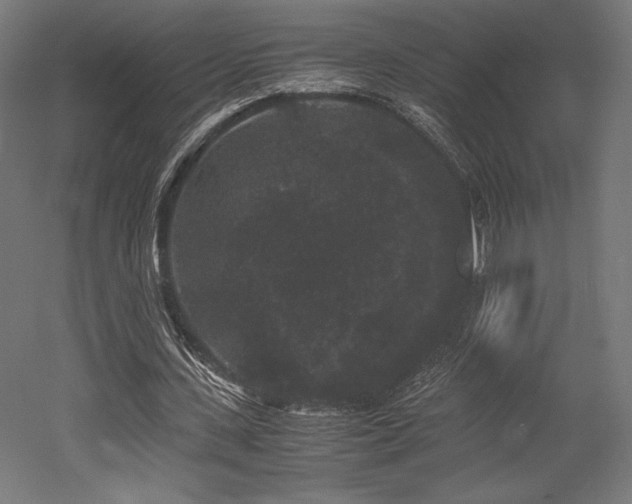 X0000052650531200507011415