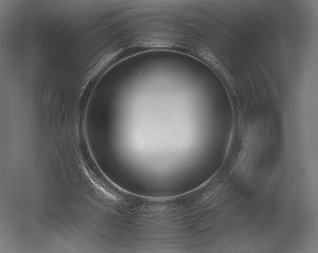 X0000052650533200507011415