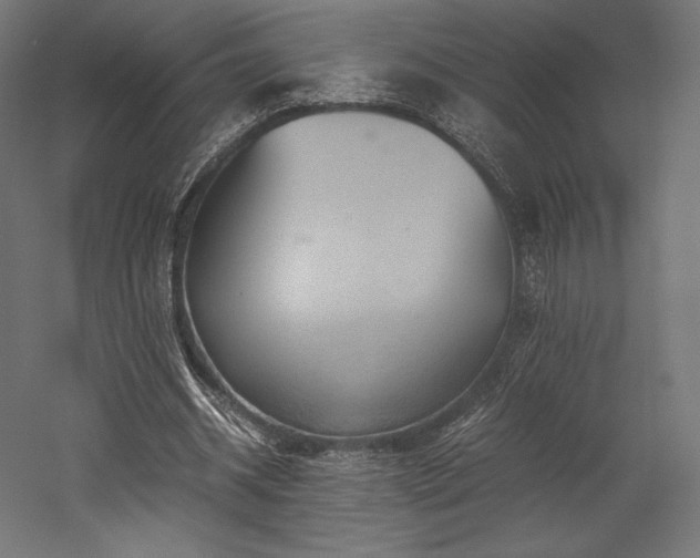 X0000052650534200507011415