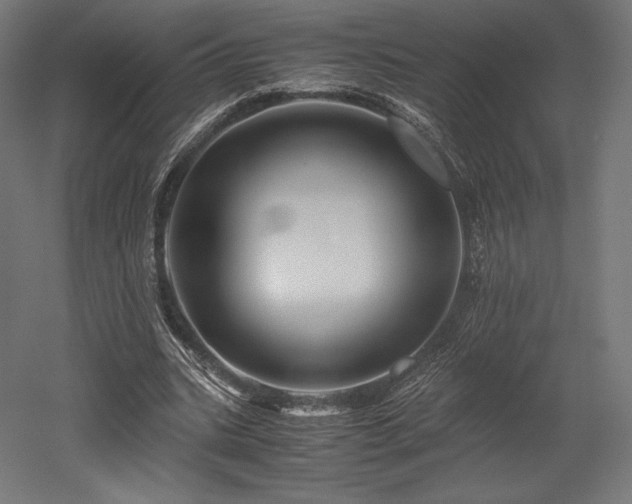 X0000052650535200507011415