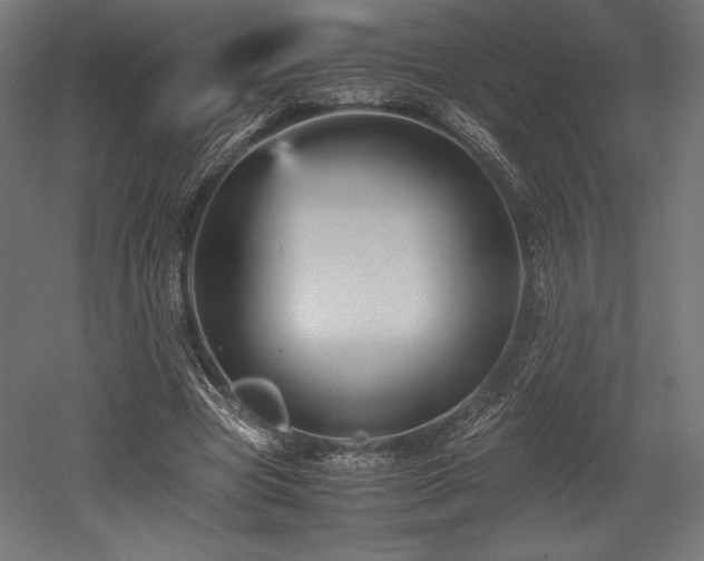 X0000052650537200507011415