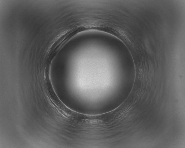 X0000052650539200507011415