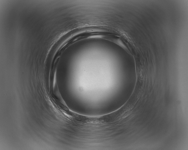 X0000052650540200507011415