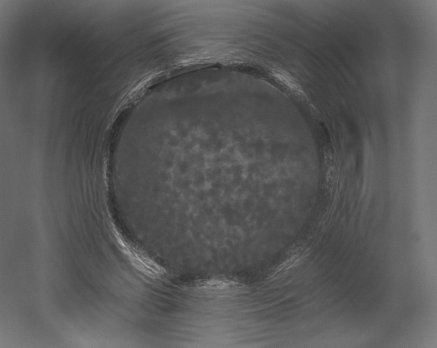 X0000052650542200507011415