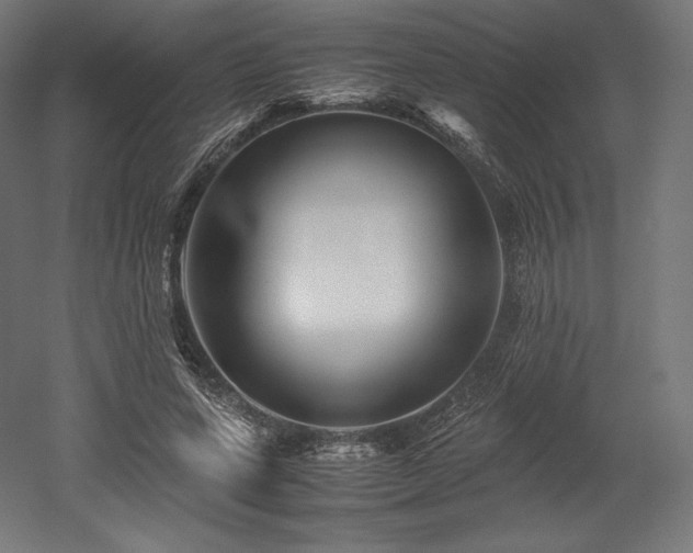 X0000052650543200507011415