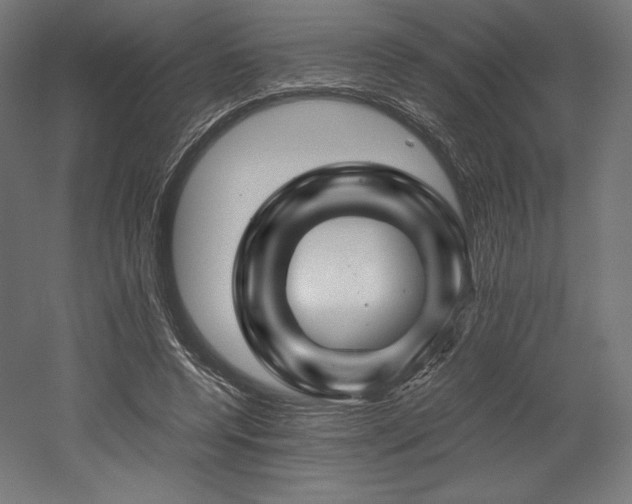 X0000052650544200507011415