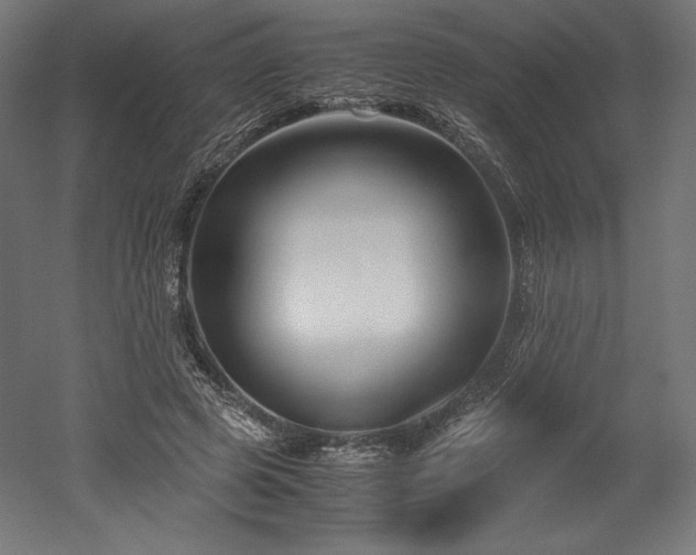 X0000052650545200507011415