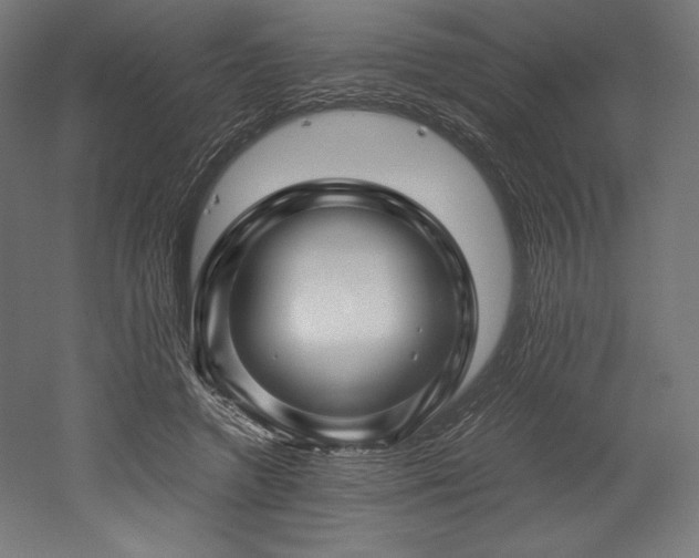 X0000052650546200507011415
