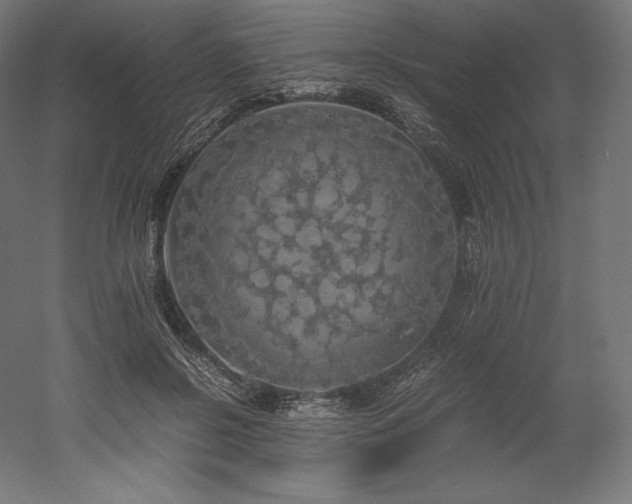 X0000052650550200507011415