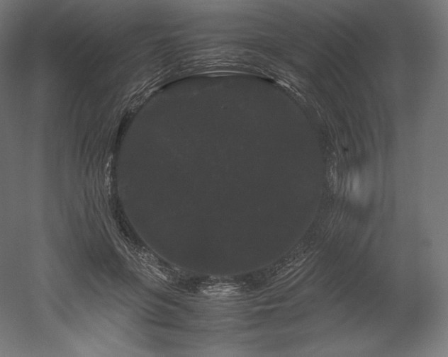 X0000052650551200507011415