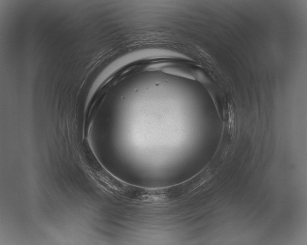 X0000052650552200507011415