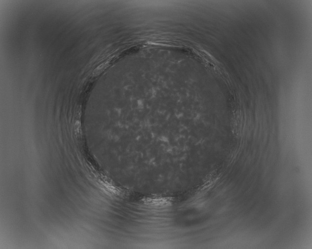 X0000052650553200507011415