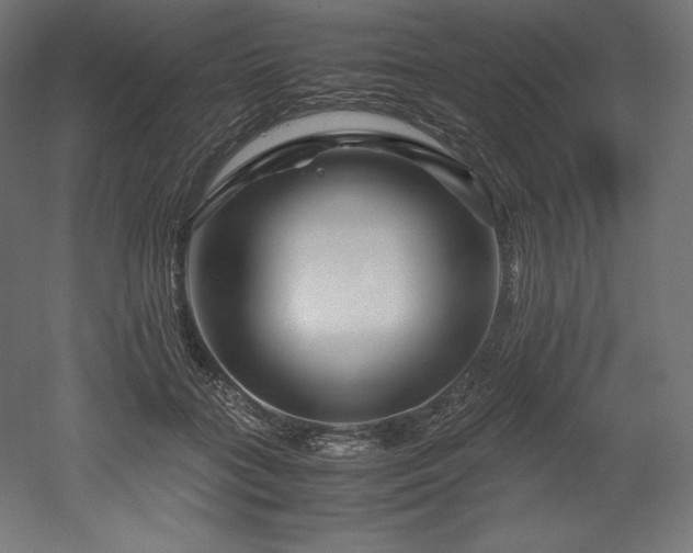 X0000052650555200507011415