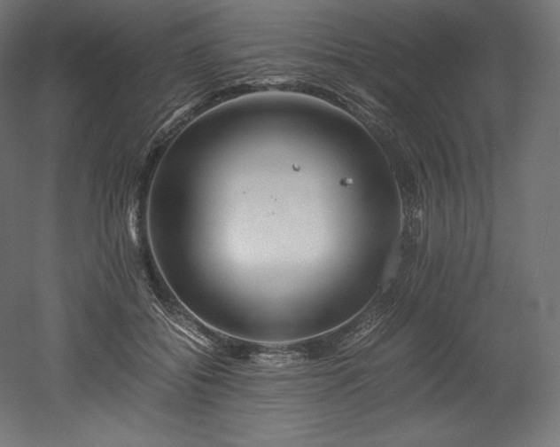 X0000052650556200507011415