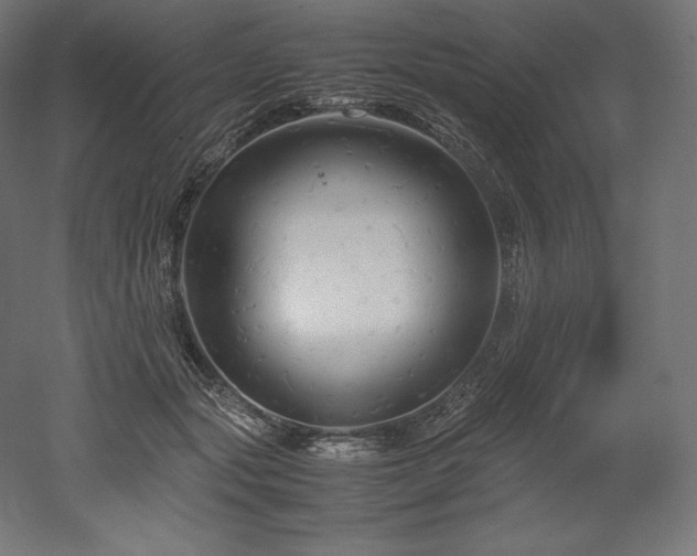 X0000052650557200507011415