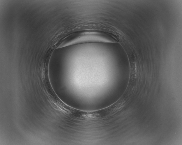 X0000052650558200507011415