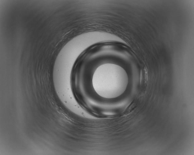 X0000052650559200507011415