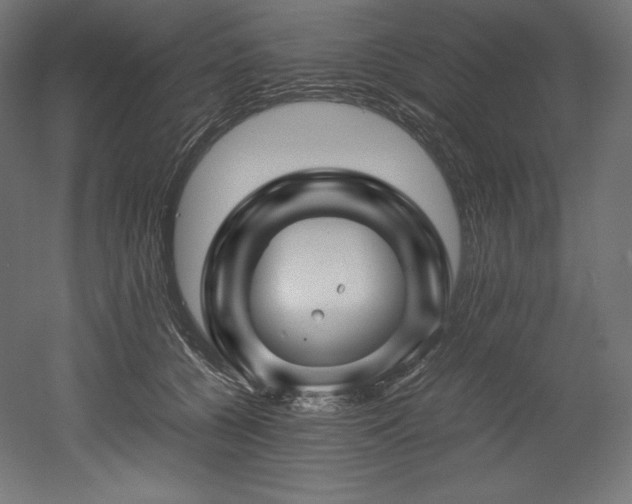 X0000052650560200507011415