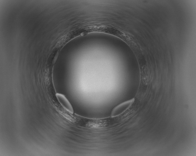 X0000052650563200507011415
