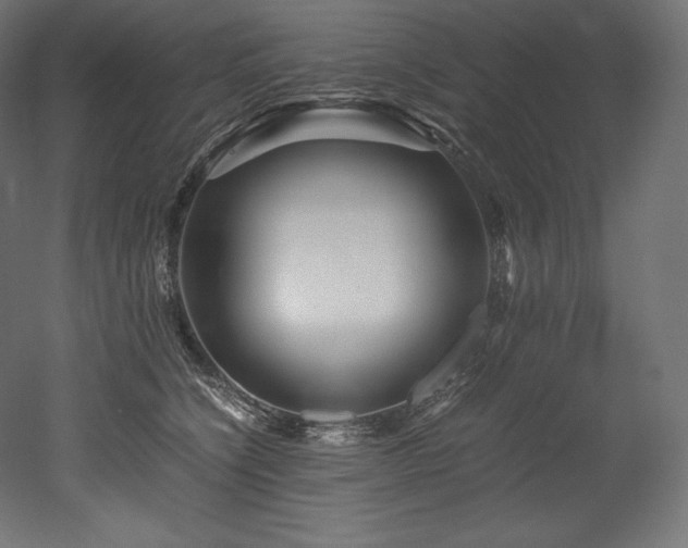 X0000052650564200507011415