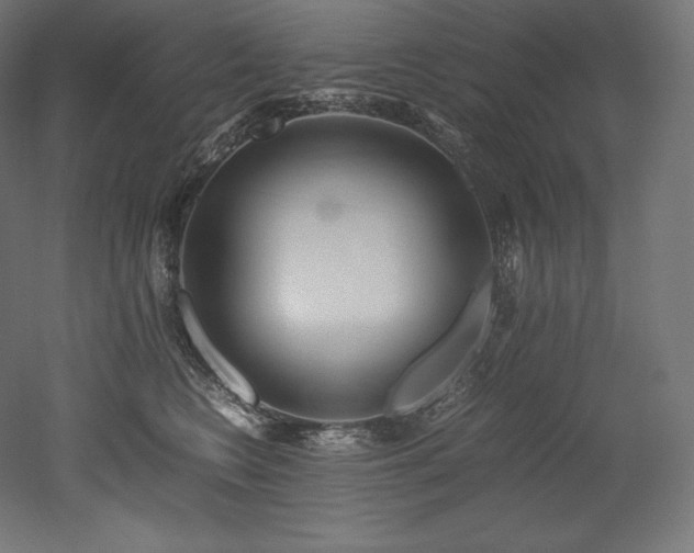 X0000052650566200507011415