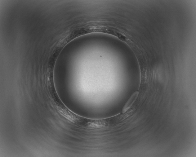 X0000052650567200507011415