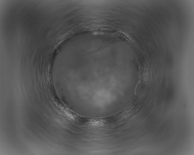 X0000052650569200507011415
