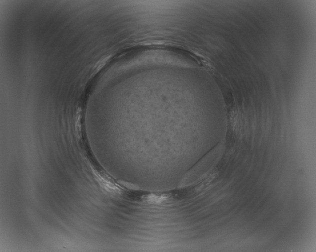 X0000052650570200507011415