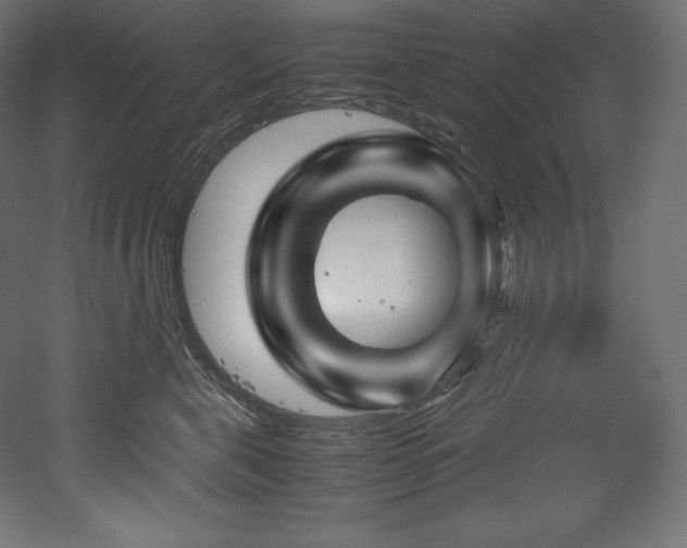 X0000052650571200507011415