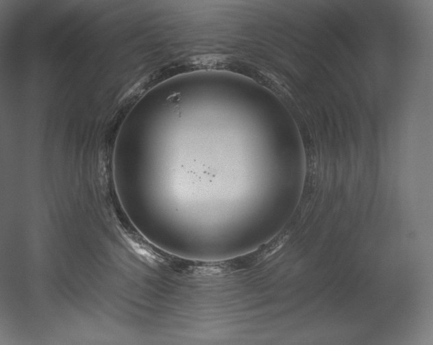 X0000052650572200507011415