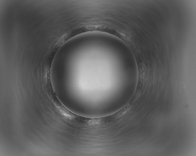 X0000052650574200507011415
