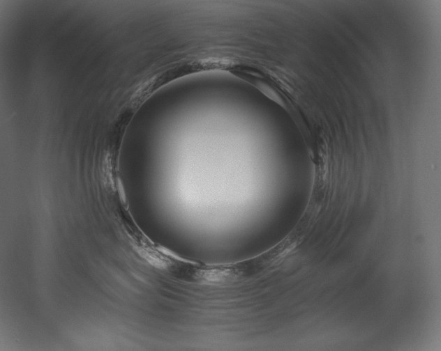 X0000052650575200507011416