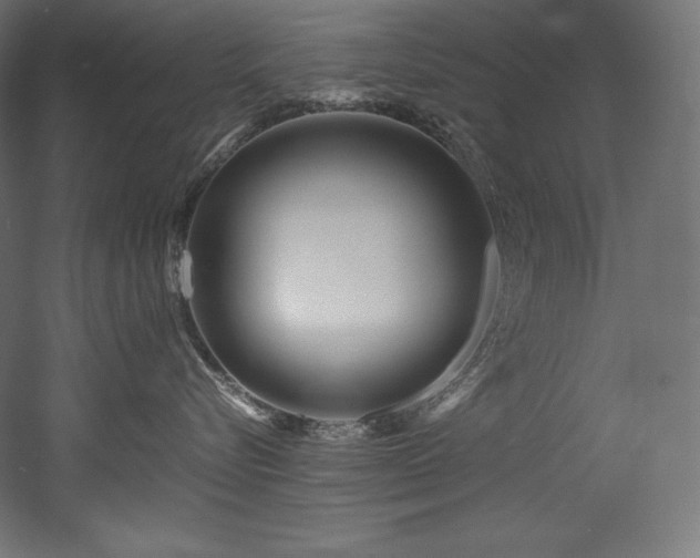 X0000052650576200507011416