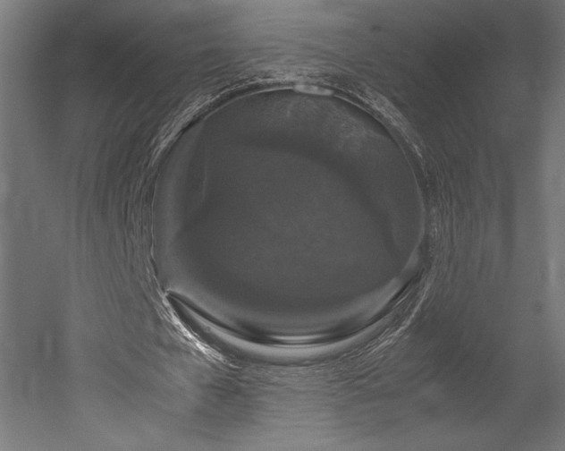 X0000052650577200507011415