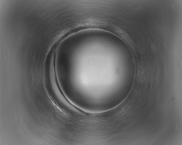 X0000052650578200507011415