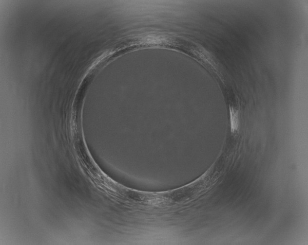 X0000052650579200507011415
