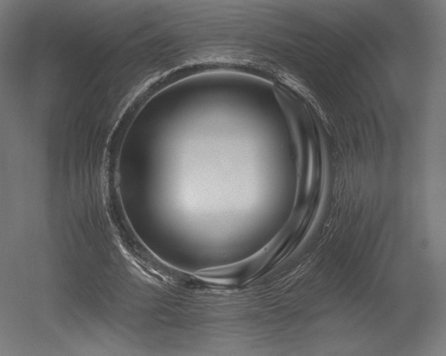 X0000052650580200507011415