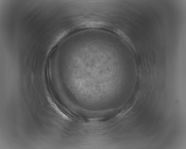 X0000052650581200507011415