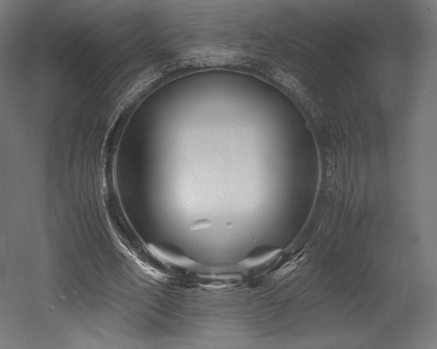 X0000052650582200507011415