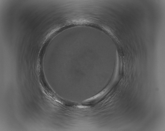 X0000052650583200507011415