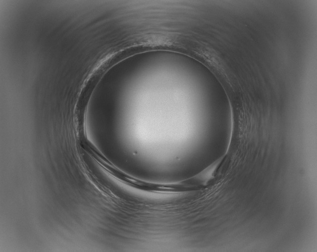 X0000052650584200507011415