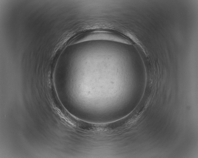 X0000052650585200507011415