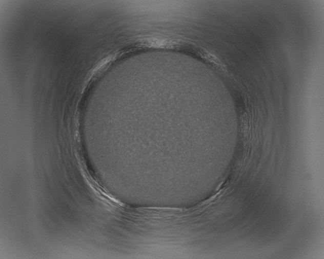 X0000052650587200507011415