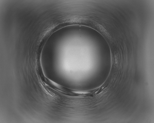 X0000052650588200507011415