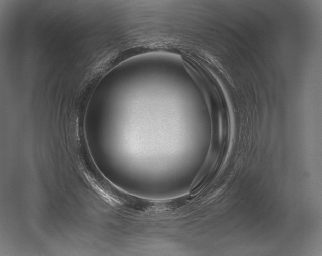 X0000052650589200507011414