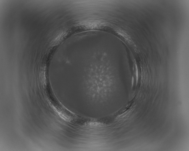 X0000052650590200507011414