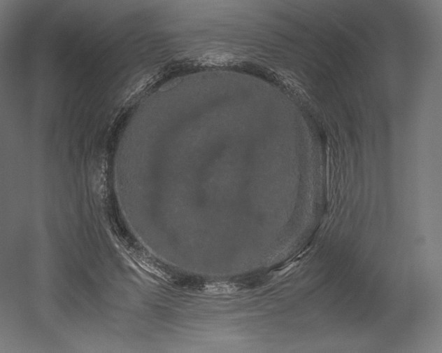 X0000052650591200507011414