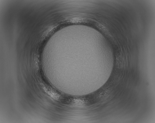 X0000052650592200507011414