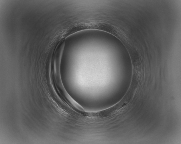 X0000052650593200507011414