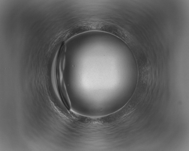 X0000052650594200507011414